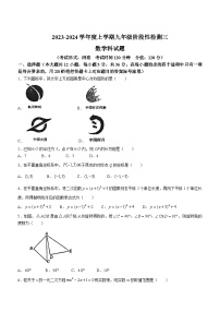 广西壮族自治区南宁市广西大学附属中学2023-2024学年九年级上学期11月月考数学试题