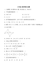 八年级上学期期末数学试题 (29)