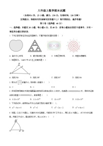 八年级上学期期末数学试题 (39)