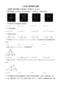 八年级上学期期末数学试题 (55)