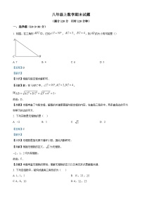 八年级上学期期末数学试题 (66)