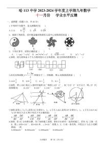 黑龙江省哈尔滨市第一一三中学2023-—2024学年九年级上学期11月月考数学试题