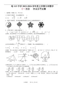 黑龙江省哈尔滨市第一一三中学2023-—2024学年九年级上学期11月月考数学试题