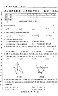 吉林省吉林市第九中学2023—2024学年上学期九年级期中数学试卷