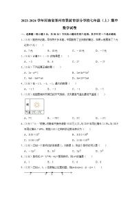 河南省郑州市登封市部分学校2023-2024学年七年级上学期期中数学试卷