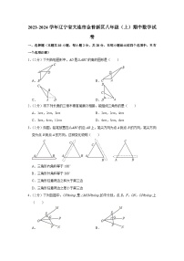 辽宁省大连市金普新区2023-2024学年八年级上学期期中数学试卷