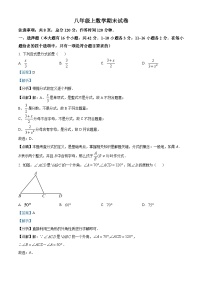 八年级上学期期末数学试题 (102)