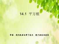 冀教版八年级上册第十四章   实数14.1  平方根备课课件ppt