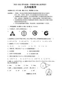 广东省江门市紫茶中学2023—2024学年九年级上学期期中考试数学试题