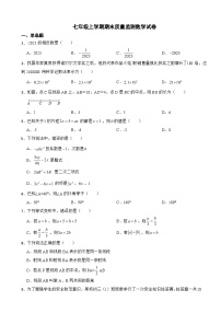 广东省阳江市2023年七年级上学期期末质量监测数学试卷附答案