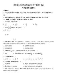湖南省永州市冷水滩区2023-2024学年八年级上册期中数学试题（含解析）