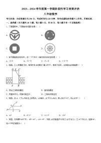 甘肃省陇南市武都区2023-2024学年八年级上册期中数学试题（含解析）