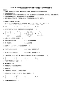 2023-2024学年安徽省数学九年级第一学期期末联考试题含解析
