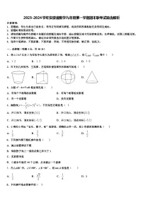 2023-2024学年安徽省数学九年级第一学期期末联考试题含解析