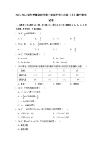 安徽省宿州第二初级中学2023—2024学年上学期七年级期中数学试卷
