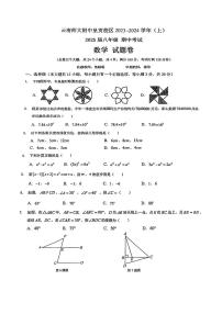 云南省云南师大附中呈贡校区2023-2024学年八年级上期中数学试卷