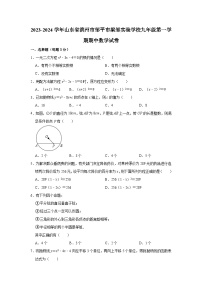 山东省滨州市邹平市梁邹实验初级中学2023-2024学年九年级上学期期中数学试题