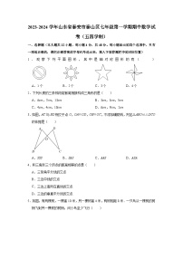 山东省泰安市泰山区2023-2024学年七年级上学期期中数学试卷（五四制）