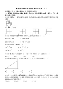 2023年广东省河源市东源县中考三模数学试题