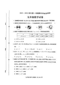 河南省洛阳市2023-2024学年上学期期中九年级数学试卷