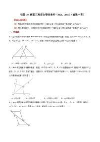 专题1.9 探索三角形全等的条件（ASA，AAS）（直通中考）-2023-2024学年八年级数学上册专题讲与练（苏科版）