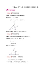 专题1.13 角平分线（知识梳理与考点分类讲解）-2023-2024学年八年级数学上册专题讲与练（苏科版）