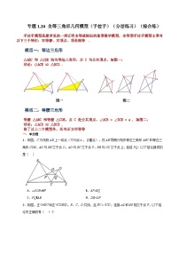 专题1.24 全等三角形几何模型（手拉手）（分层练习）（综合练）-2023-2024学年八年级数学上册专题讲与练（苏科版）