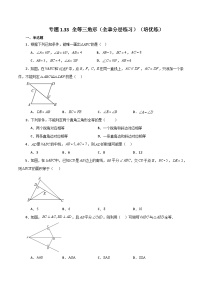 专题1.33 全等三角形（全章分层练习）（培优练）-2023-2024学年八年级数学上册专题讲与练（苏科版）