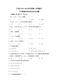 河南省开封市兰考县2023-2024学年八年级上学期期中考试数学试题（含解析）