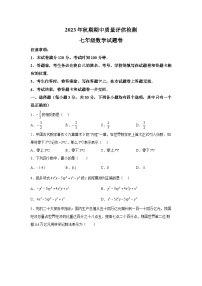 河南省南阳市2023-2024学年七年级上学期期中数学试题（含解析）