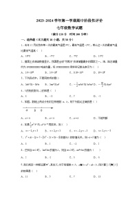 河南省濮阳市范县2023-2024学年七年级上学期期中数学试题（含解析）