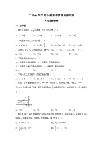 湖南省永州市宁远县2023-2024学年九年级上学期期中数学试题（含解析）