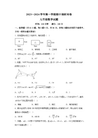 山东省聊城市临清市2023-2024学年九年级上学期期中考试数学试题（含解析）