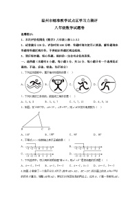 浙江省温州市2023-2024学年八年级上学期期中数学试题（含解析）