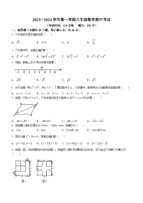 福建省泉州市第七中学2023-2024学年八年级上学期期中数学试题(无答案)