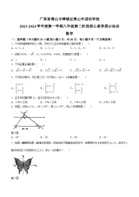 广东省佛山市禅城区佛山外国语学校 2023-2024学年八年级上学期第二次月考数学试题(无答案)