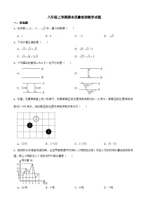 陕西省西安市2023年八年级上学期期末质量检测数学试题附答案