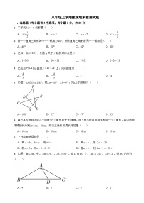 浙江省嘉兴市2023年八年级上学期数学期末检测试题附答案