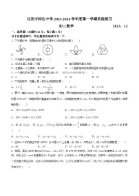 北京市海淀区师达中学2023-2024学年九年级上学期月考数学试题(无答案)