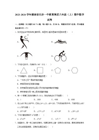 2023-2024学年湖南省长沙一中教育集团八年级（上）期中数学试卷