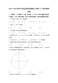 江苏省无锡市滨湖区2023-2024学年九年级上学期期中数学试题（含解析）