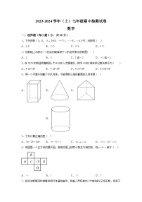 河南省焦作市中站区2023-2024学年七年级上学期期中考试数学试题（含解析）