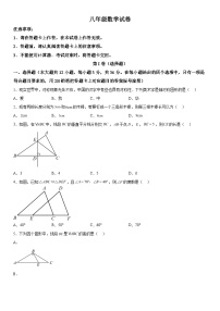 广西壮族自治区南宁市宾阳县2023-2024学年八年级上册期中数学试题（含解析）