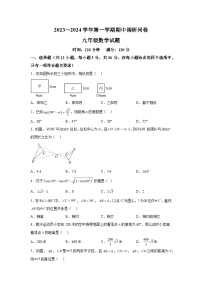 山东省聊城市临清市2023-2024学年九年级上学期期中考试数学试题（含解析）