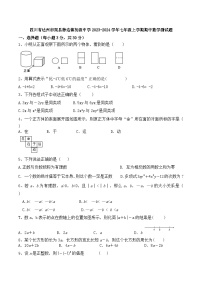 四川省达州市渠县静边镇初级中学2023-2024学年七年级上学期期中数学测试题