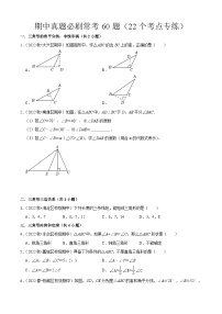 期中真题必刷常考60题（22个考点专练）-2023-2024学年八年级数学上学期期中期末考点大串讲（人教版）