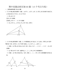 期中真题必刷压轴60题（14个考点专练）-2023-2024学年八年级数学上学期期中期末考点大串讲（人教版）