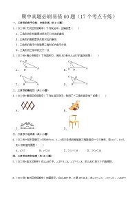 期中真题必刷易错60题（17个考点专练）-2023-2024学年八年级数学上学期期中期末考点大串讲（人教版）