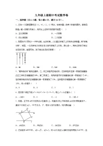 河南省濮阳市2023-2024学年九年级上学期期中数学试题（含解析）