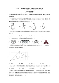 河南省驻马店市确山县2023-2024学年八年级上学期期中数学试题（含解析）